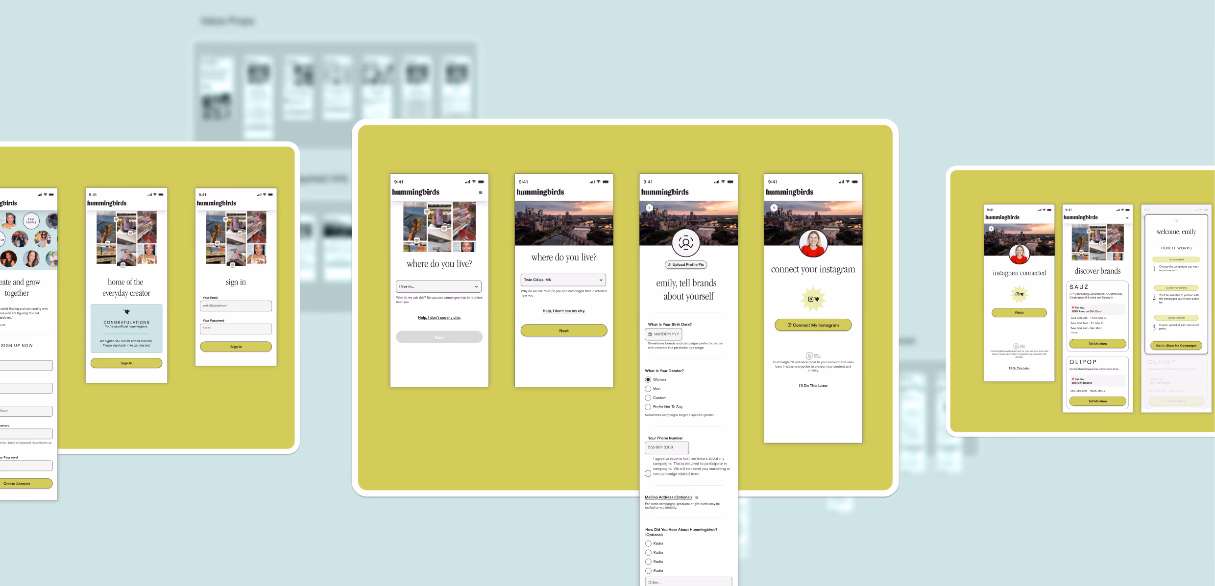 Hummingbirds Creator Onboarding — hero image